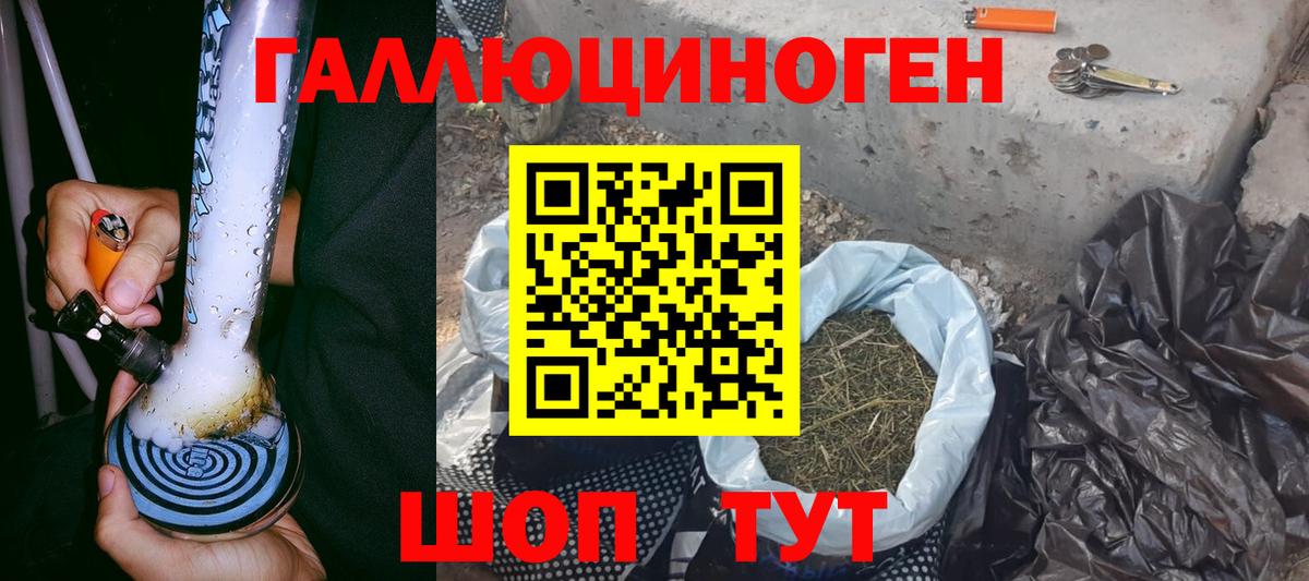 Псилоцибиновые грибы GOLDEN TEACHER  закладка  Хасавюрт  Вход с VPN 